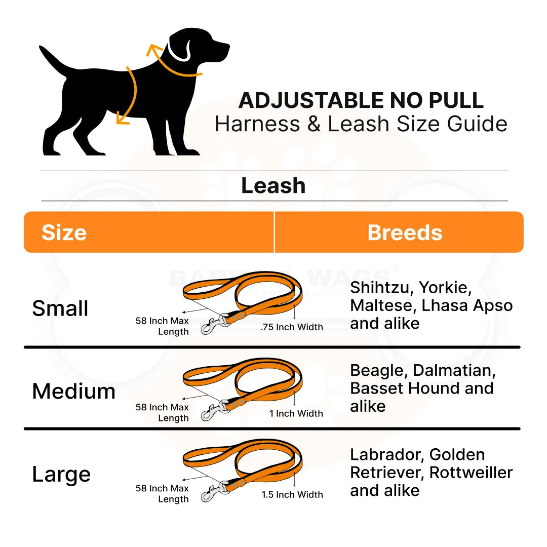 Heavy-duty harness kit for maximum comfort and zero choking- Denim Check Plaid