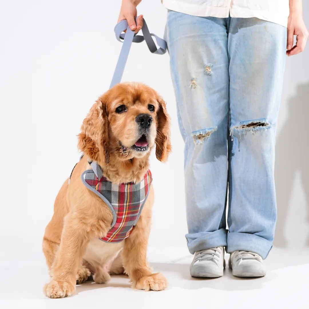Heavy-duty harness kit for maximum comfort and zero choking- Denim Check Plaid