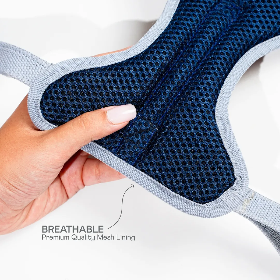 Heavy-duty harness kit for maximum comfort and zero choking- Denim Check Plaid