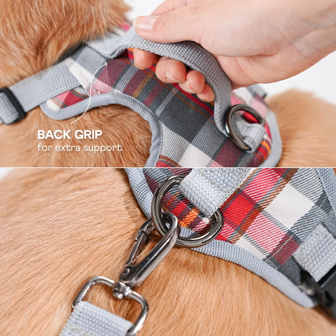 Heavy-duty harness kit for maximum comfort and zero choking- Denim Check Plaid