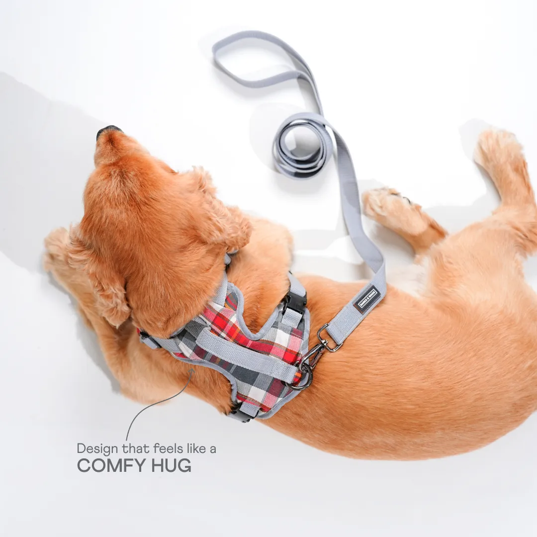 Heavy-duty harness kit for maximum comfort and zero choking- Denim Check Plaid
