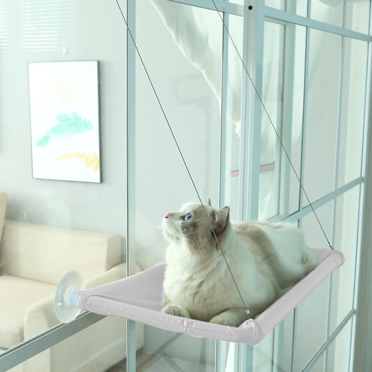 HomeLifeHub Cat Perch - Cozy Hammock for Windows, Heavy Duty Suction Cups (Grey, 21.65x11.8 inch)
