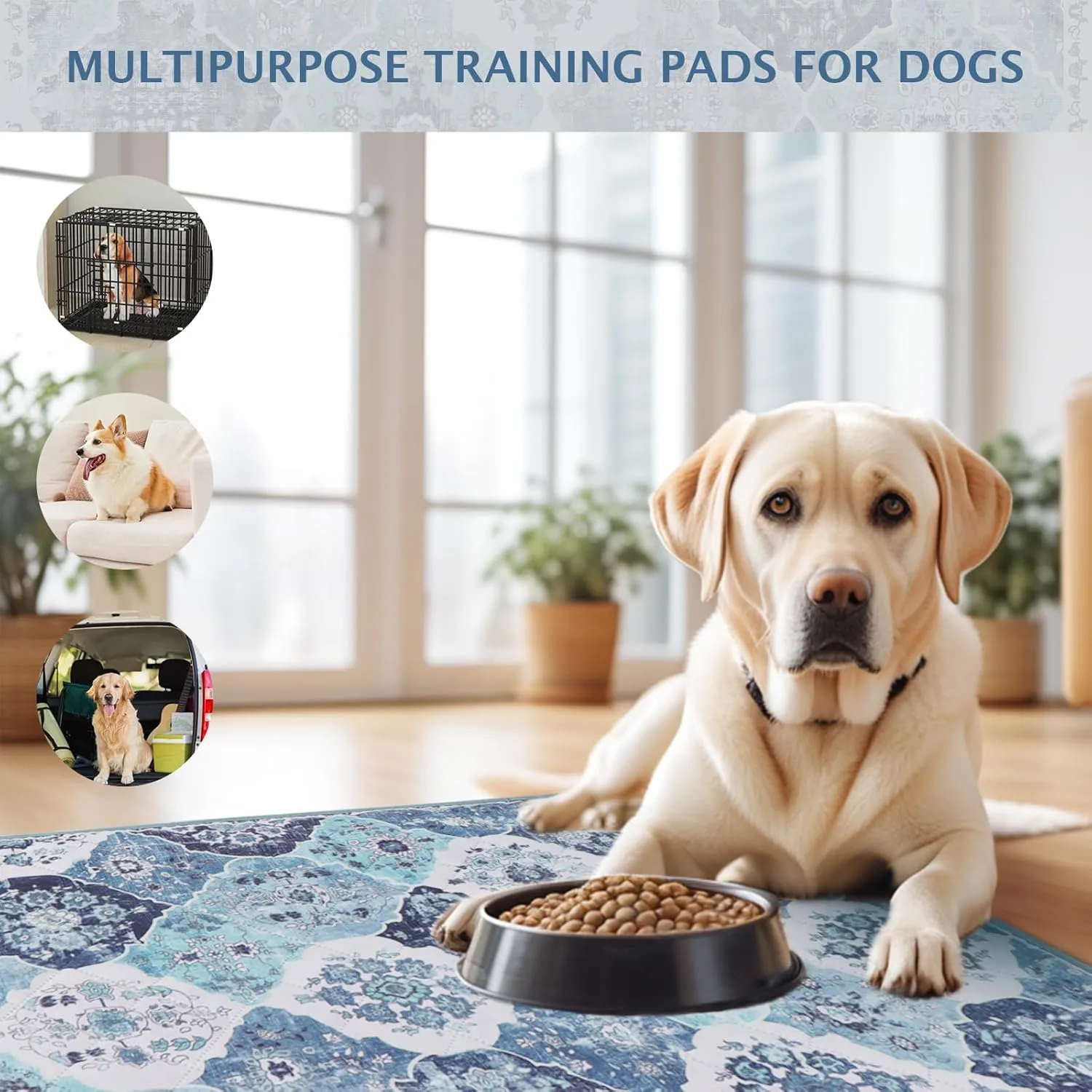 IEUUMLER Washable Pee Pads for Dogs, 2 Pack Reusable Non-Slip Grip, Super Absorbent Waterproof Puppy Pads for Potty Training, Playpen, Crate, Whelping Box EU011 (Blue, 24" x 18")