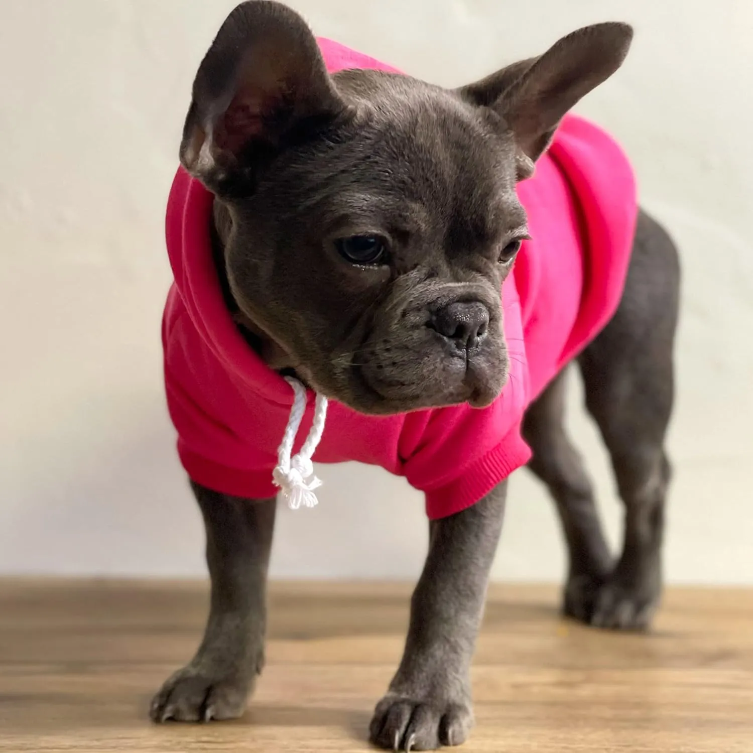It's My Gotcha Day Dog Hoodie Fleece Lined Pullover Sweatshirt with Leash Hole(Grey, Small 12)