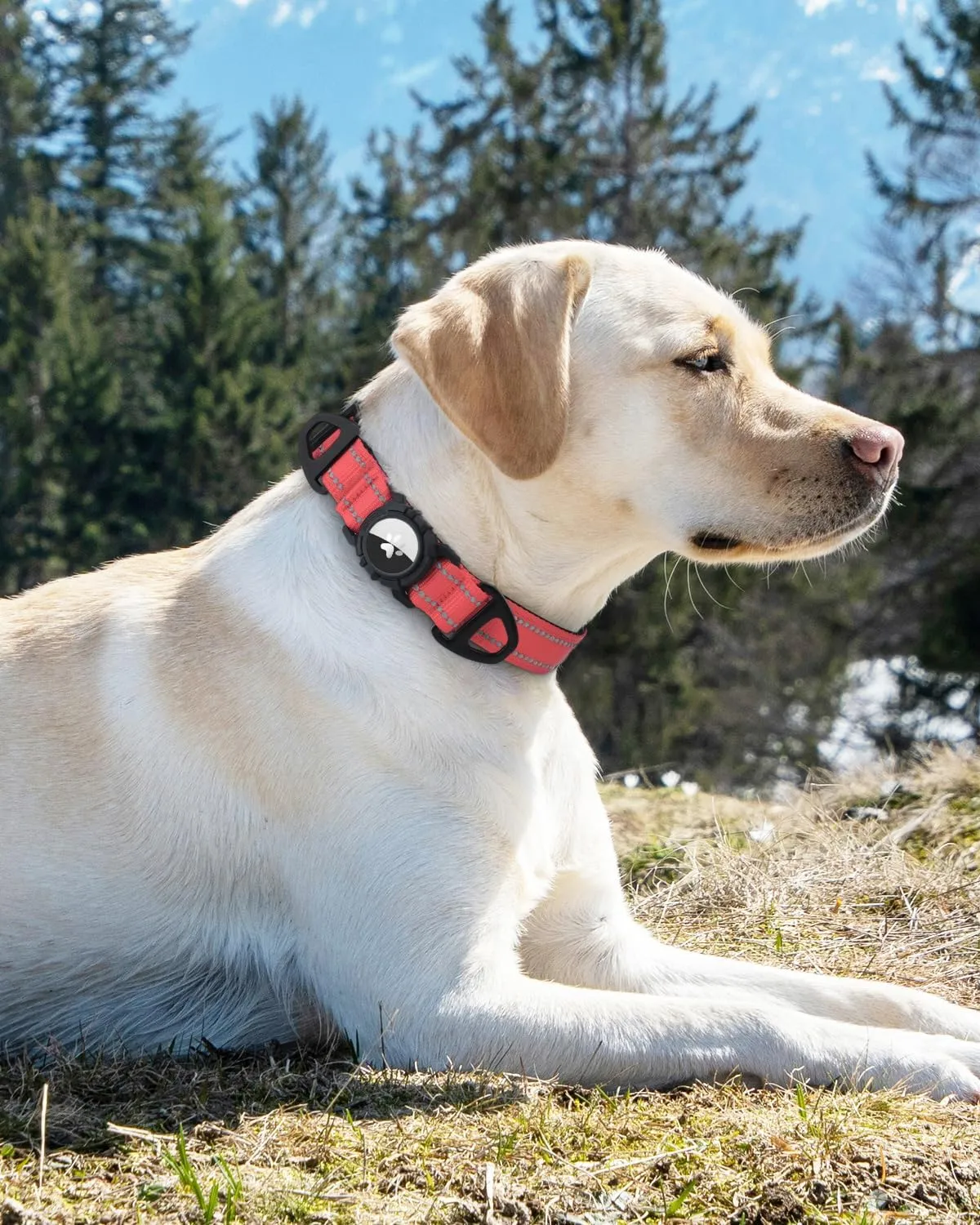 Joytale Airtag Dog Collar, Reflective Pet Collar with Waterproof AirTag Holder, Dual D-Rings, Soft Padded Adjustable for Large Dogs, Neon Pink, L