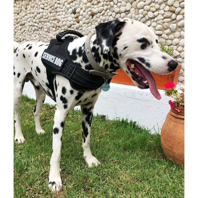 K9 Reflective Harness Adjustable Nylon Collar Vest