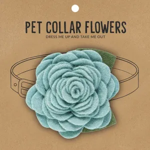 Large Flower Pet Collar-AQUA