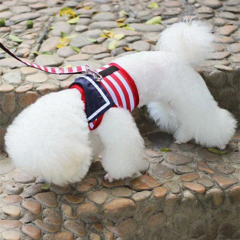 Little Sailor Pet Harness and Leash Set