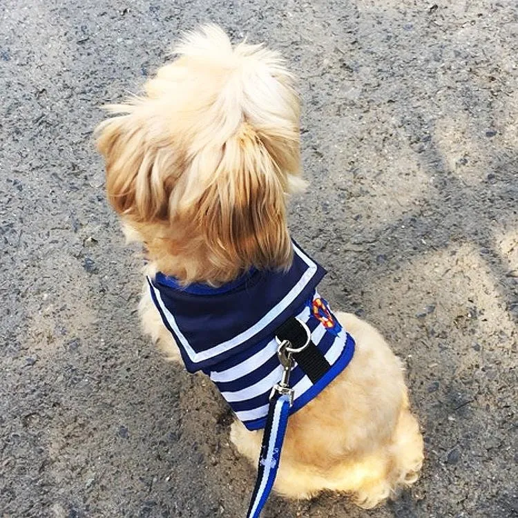 Little Sailor Pet Harness and Leash Set