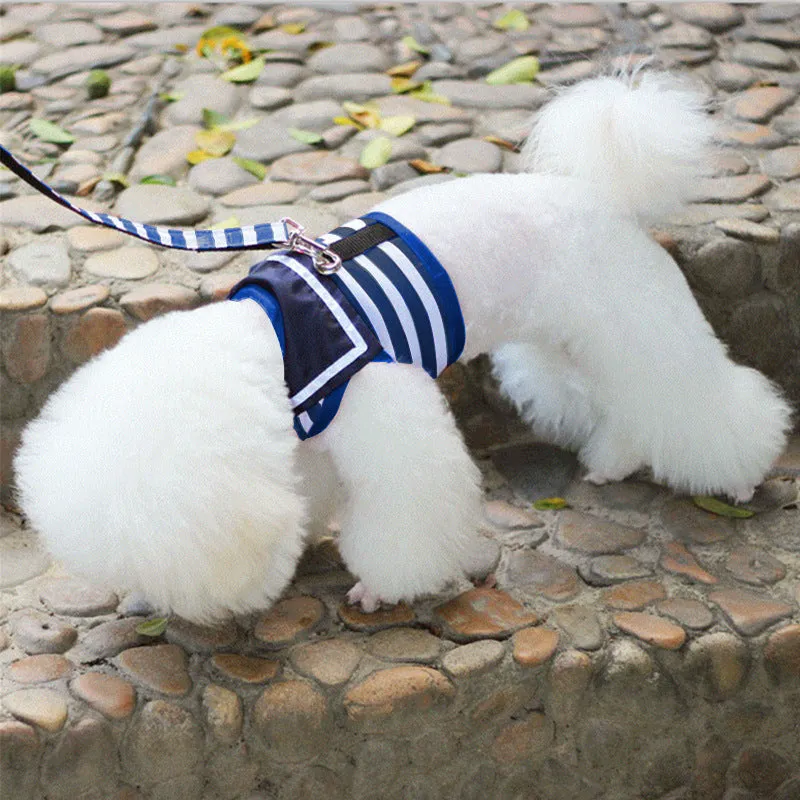 Little Sailor Pet Harness and Leash Set