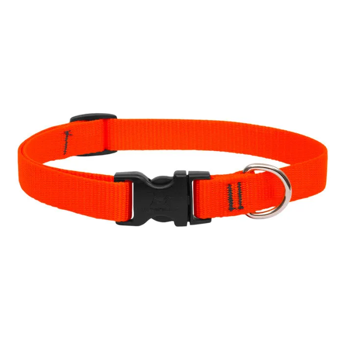 Lupine Collars & Leashes - 1/2"