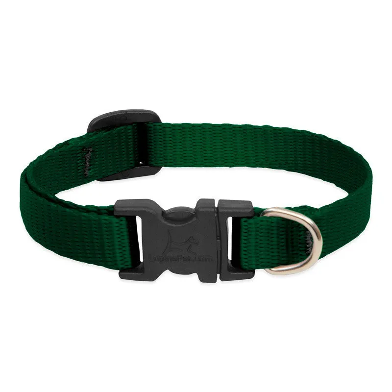 Lupine Collars & Leashes - 1/2"