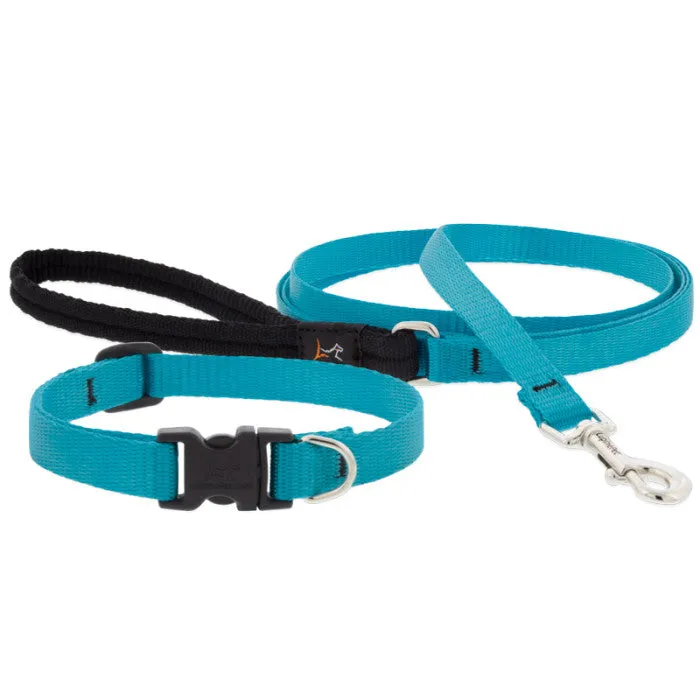 Lupine Collars & Leashes - 1/2"