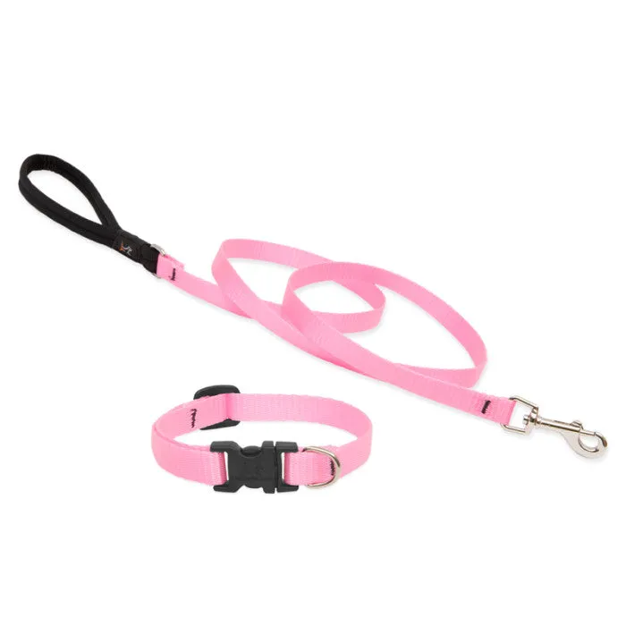 Lupine Collars & Leashes - 1/2"