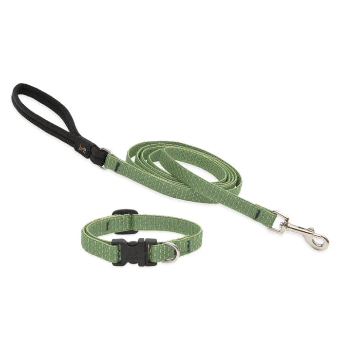 Lupine Collars & Leashes - 1/2"