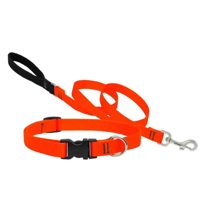 Lupine Collars & Leashes - 1/2"