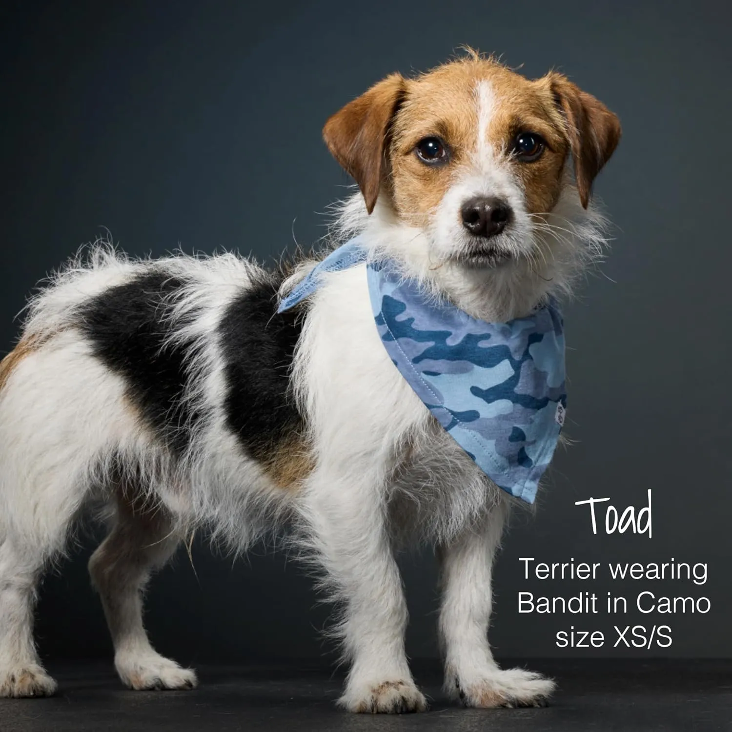 Multipack 100% Organic Cotton Pet Bandanas for Small, Medium and Large Dogs, Camo-Sand, Medium/Large