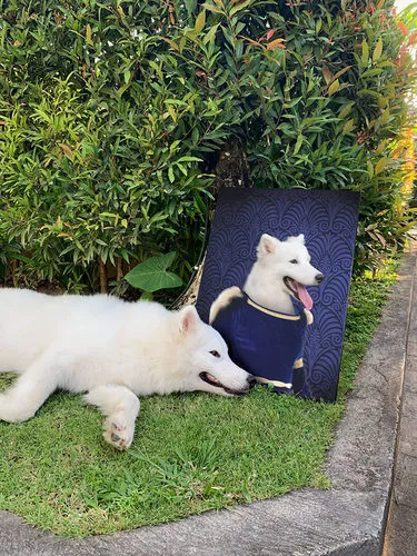 Murasaki No Sanbun - Japanese Geisha & Kimono Inspired Custom Pet Portrait Canvas
