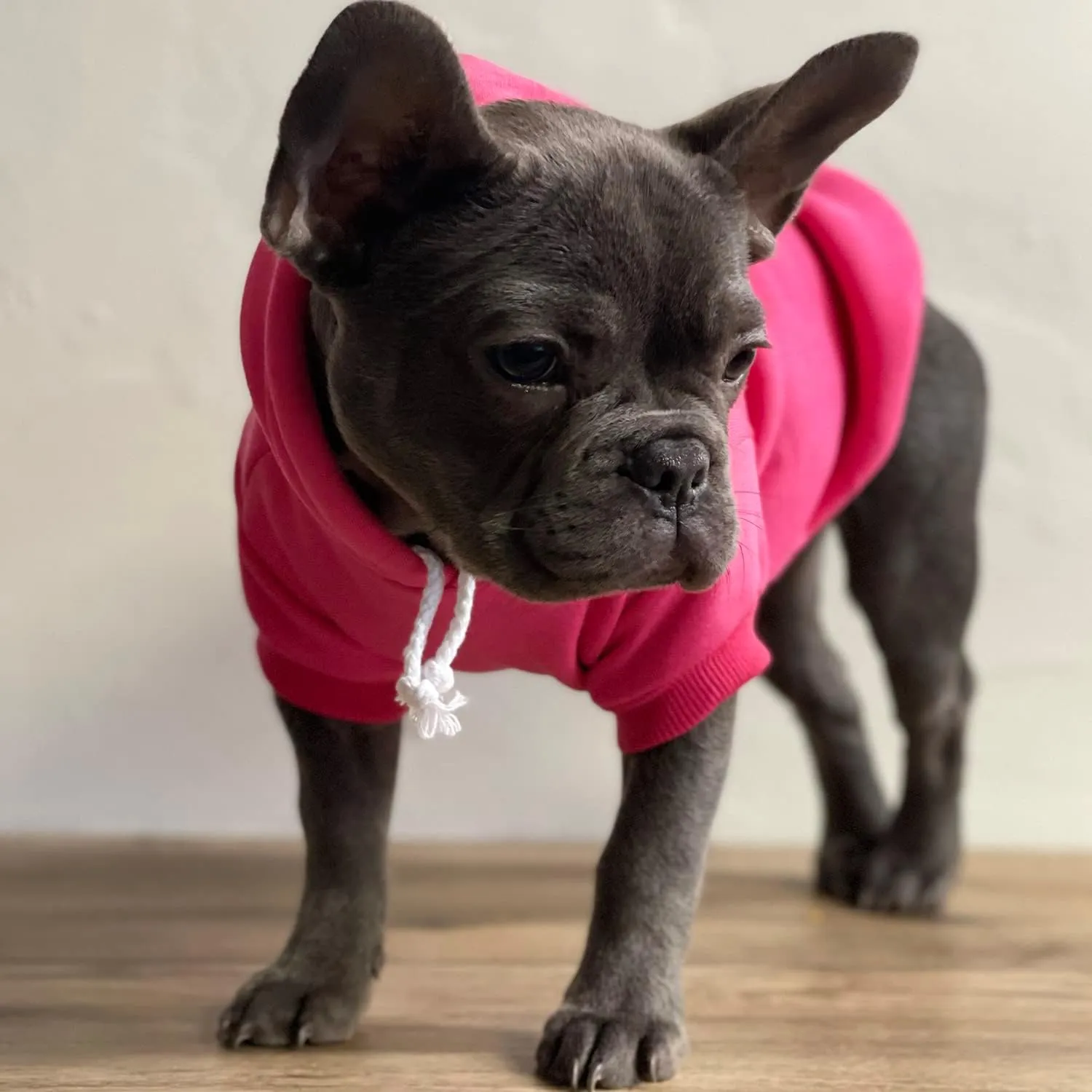 My Humans are Getting Married Annoucement Pullover Fleece Lined Dog Hoodie (Red, Small 224)