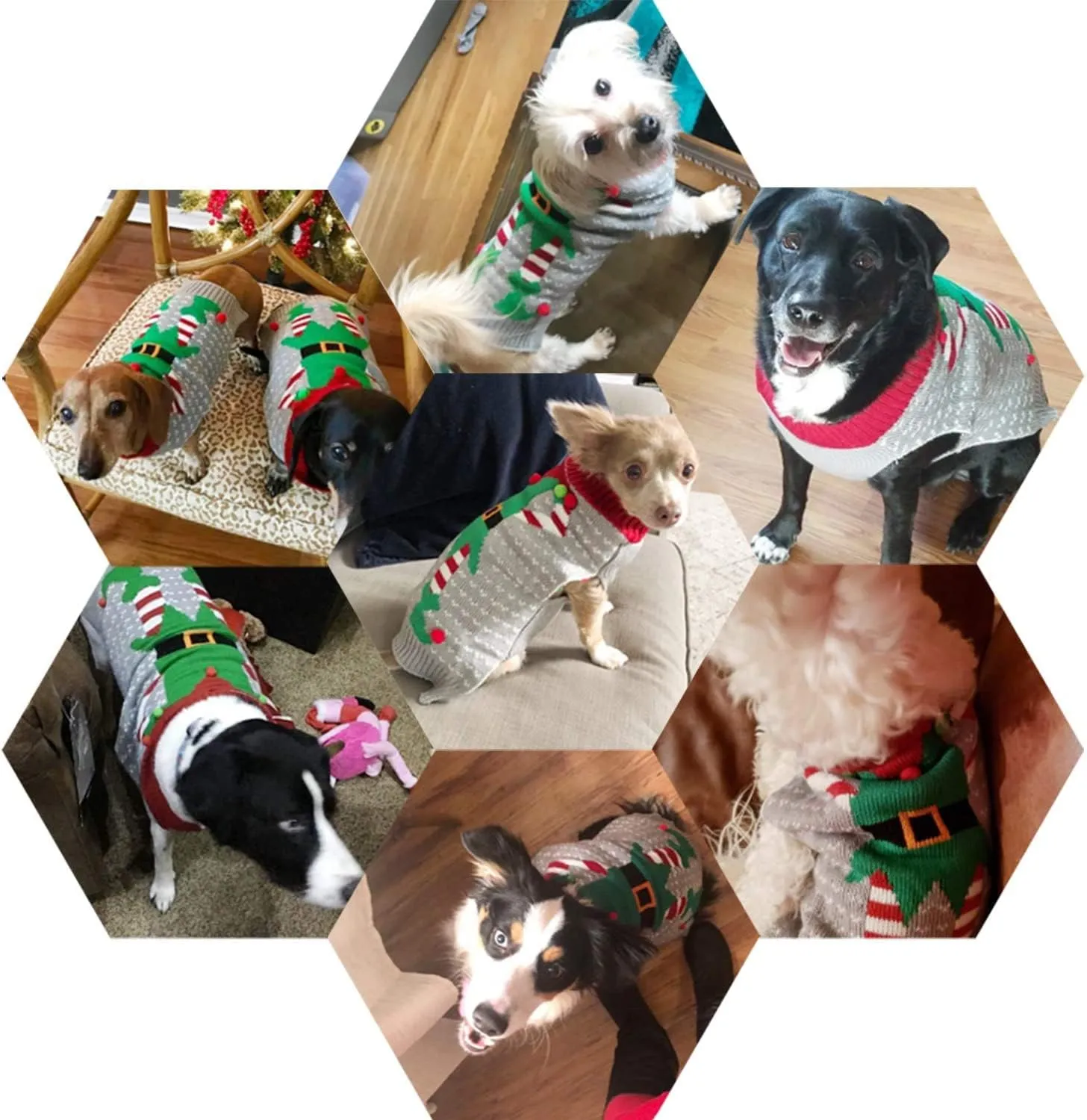 NACOCO Christmas Dog Sweater Ugly Elf Pet Jumper Clown Holiday and Party for Dog and Cat (Clown,S)
