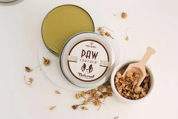 Natural Dog Company Paw Soother