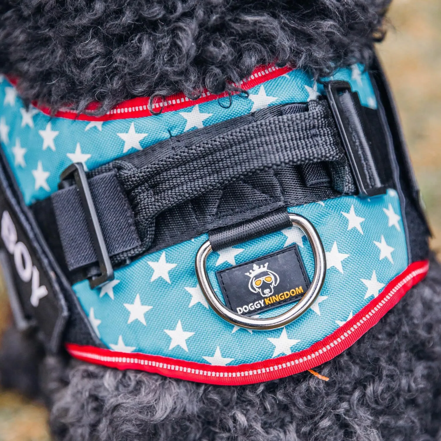 Non Pull Dog Harness with Patch Panels and Handle, Adjustable, Reflective, No Choke, Heavy Duty Easy On Service Dog Vest Harnesses for Medium Large Small Sized Dogs - Black, M