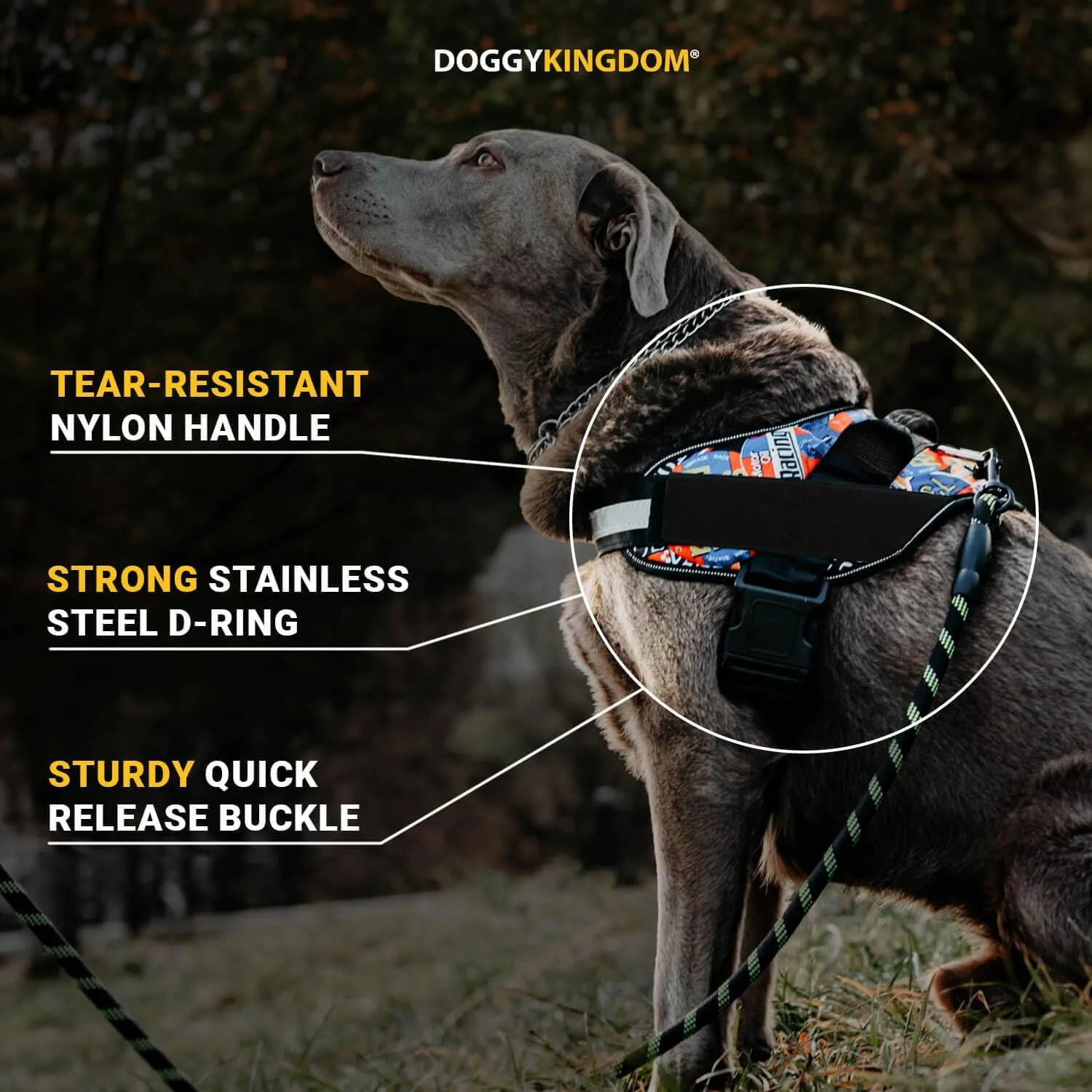 Non Pull Dog Harness with Patch Panels and Handle, Adjustable, Reflective, No Choke, Heavy Duty Easy On Service Dog Vest Harnesses for Medium Large Small Sized Dogs - Black, M
