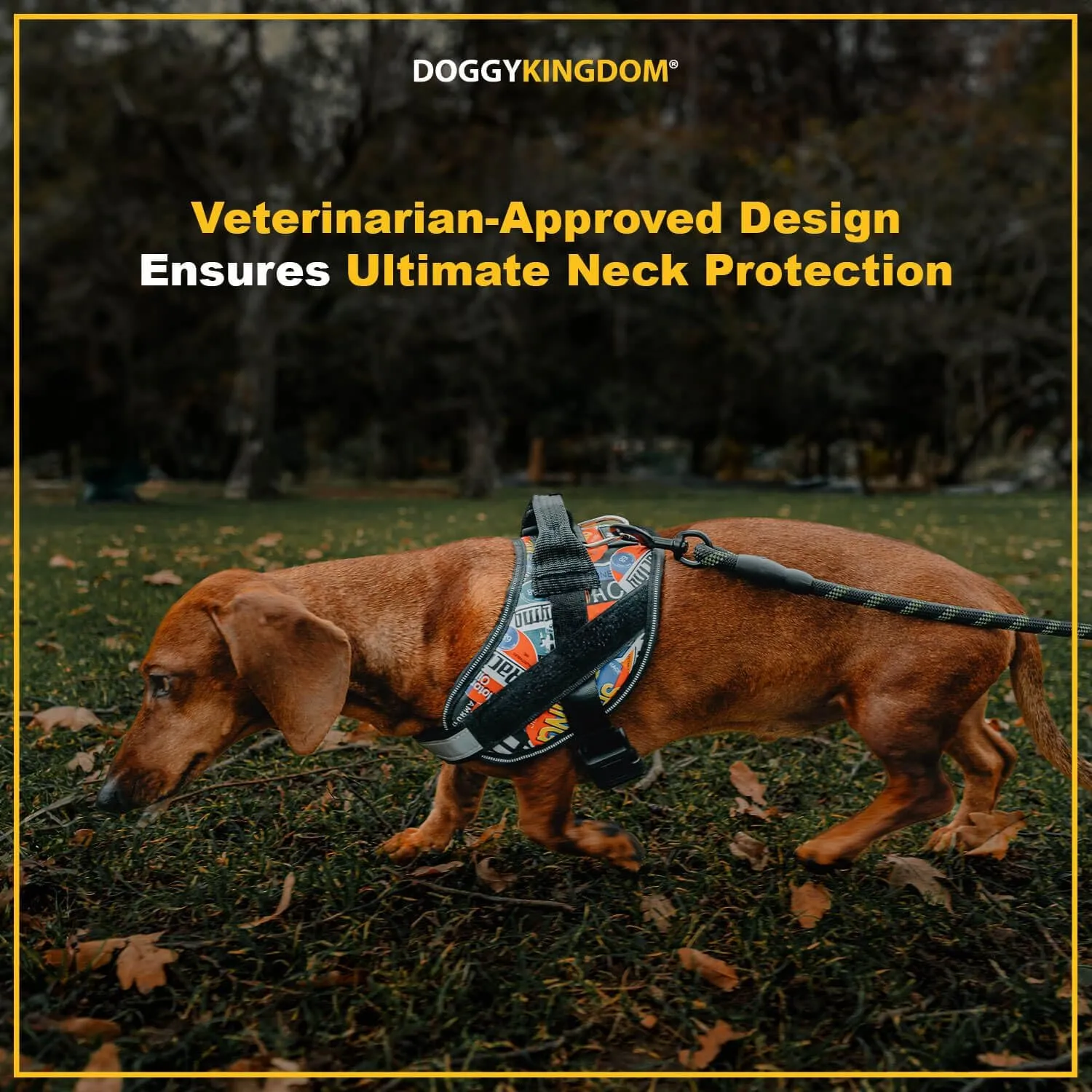 Non Pull Dog Harness with Patch Panels and Handle, Adjustable, Reflective, No Choke, Heavy Duty Easy On Service Dog Vest Harnesses for Medium Large Small Sized Dogs - Black, M