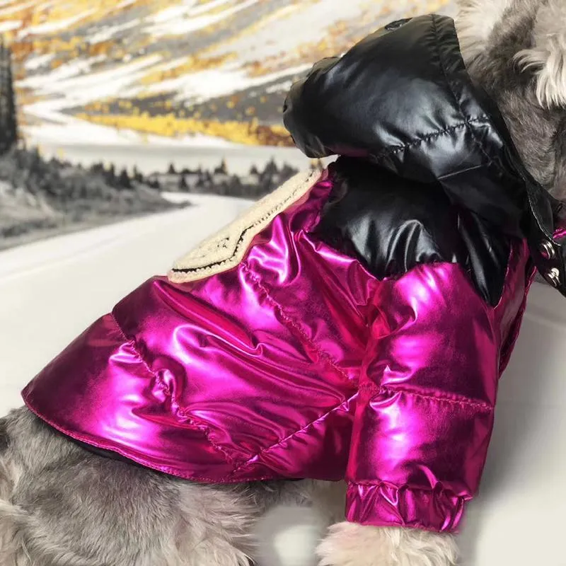 Pawncler Fuchsia/Black Jacket
