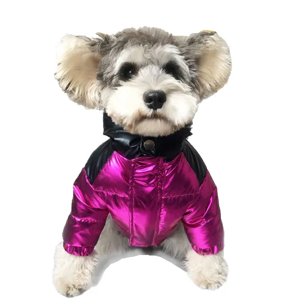 Pawncler Fuchsia/Black Jacket