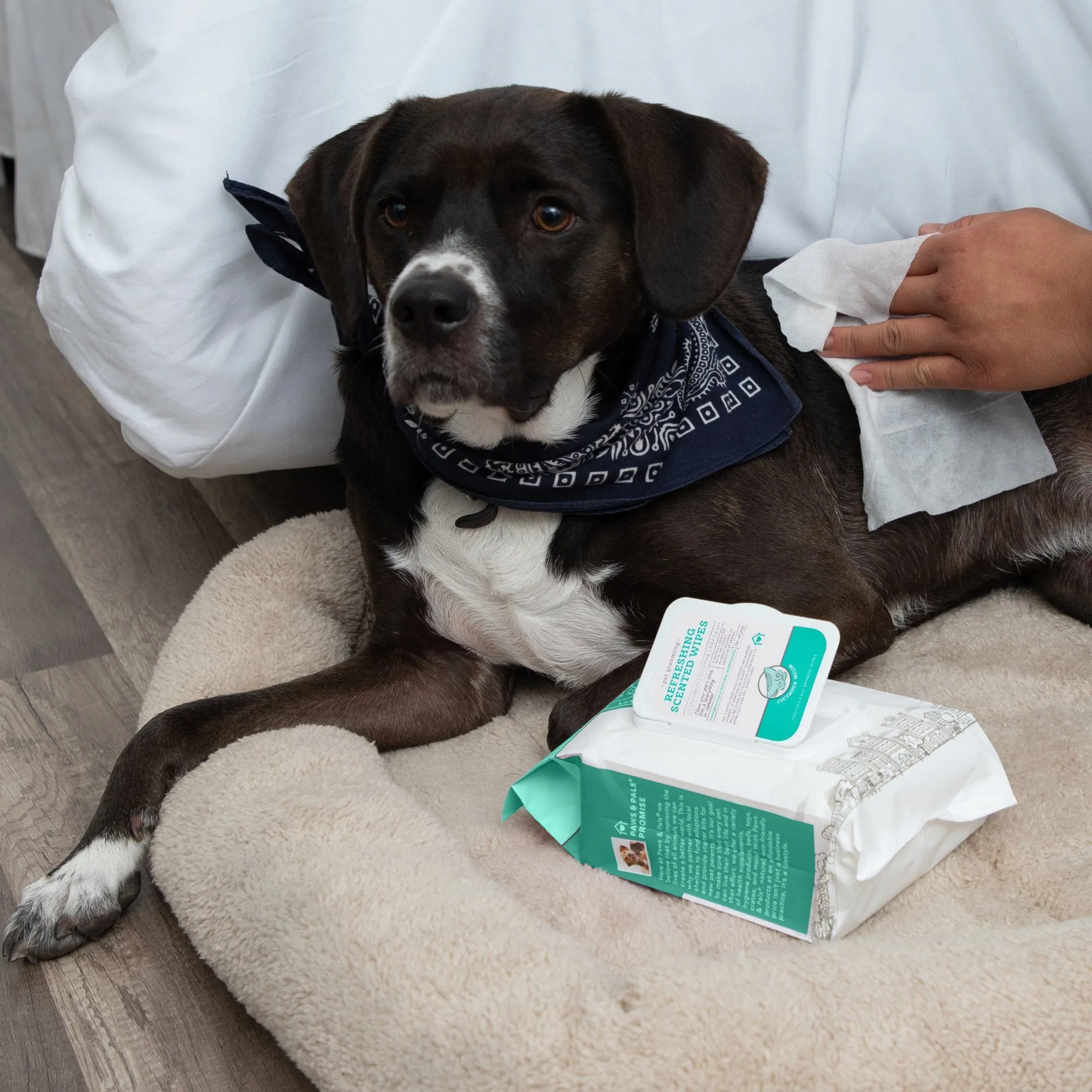 Paws & Pals Pet Grooming Wipes Hypo-Allergenic Cleansing and Deodorizing