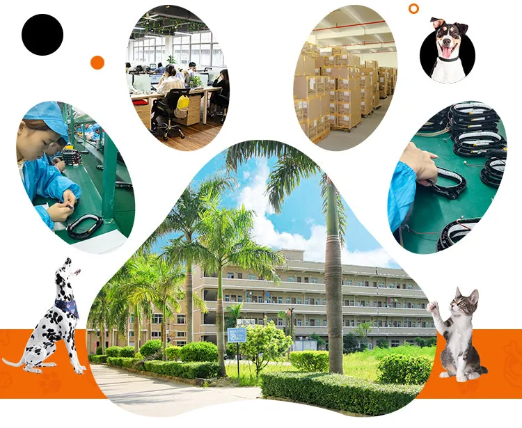 PAWS ASIA China Factory Low Moq Best Selling Nylon Portable Multi Function Retractable Dog Leash