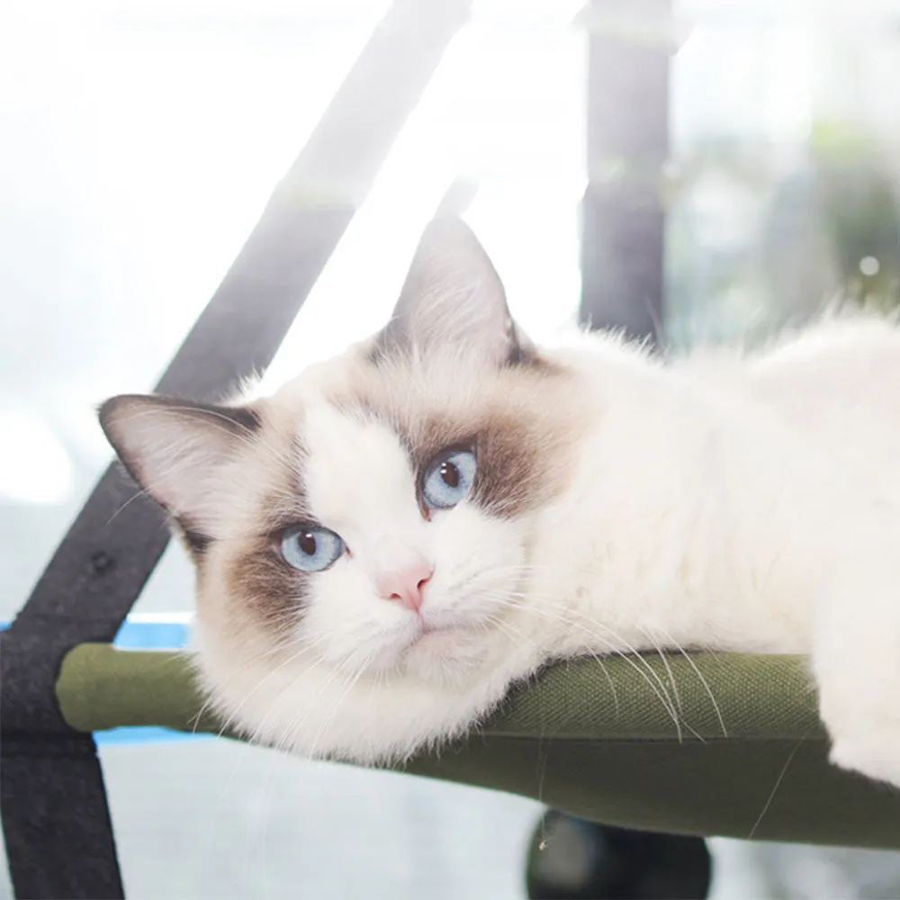 PAWS ASIA Suppliers Foldable Elevated Suction Cup Hanging Calming Cat Bed Window Hammock