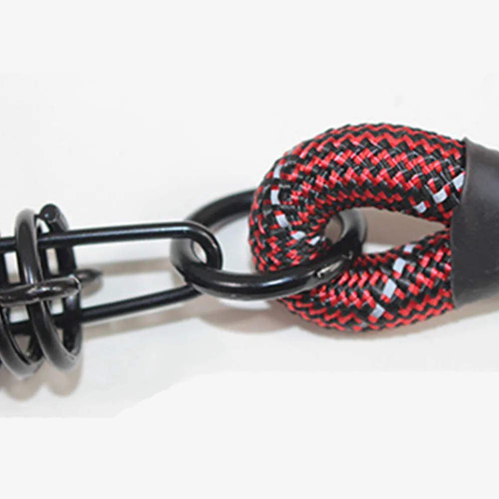 PAWS ASIA Suppliers Hot Sales New Style Fashion Dog Collar Leash With Spring