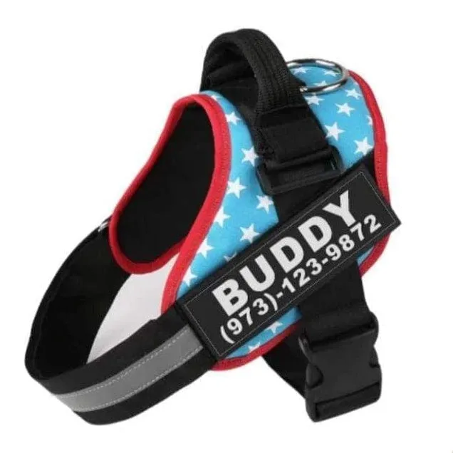 Personalized Custom Dog Harness | Dog Collar Name Dog Harness