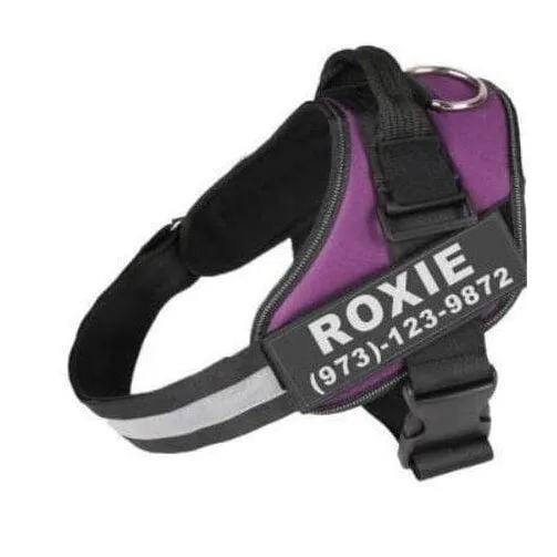 Personalized Custom Dog Harness | Dog Collar Name Dog Harness