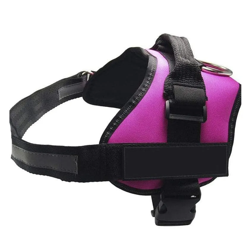 Personalized Custom Dog Harness | Dog Collar Name Dog Harness