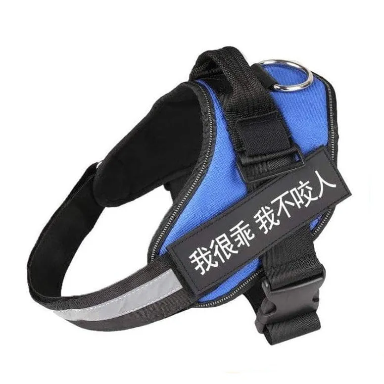 Personalized Custom Dog Harness | Dog Collar Name Dog Harness