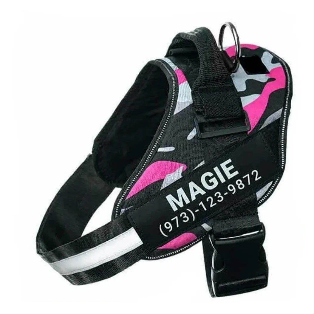 Personalized Custom Dog Harness | Dog Collar Name Dog Harness