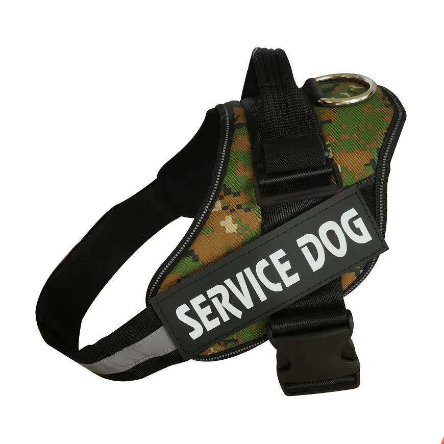 Personalized Custom Dog Harness | Dog Collar Name Dog Harness