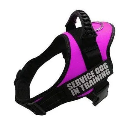 Personalized Custom Dog Harness | Dog Collar Name Dog Harness