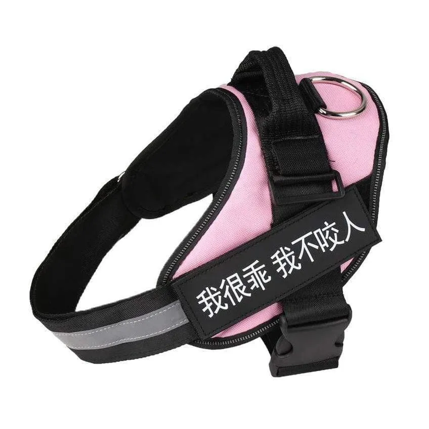 Personalized Custom Dog Harness | Dog Collar Name Dog Harness