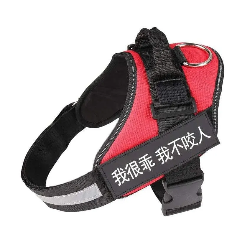 Personalized Custom Dog Harness | Dog Collar Name Dog Harness
