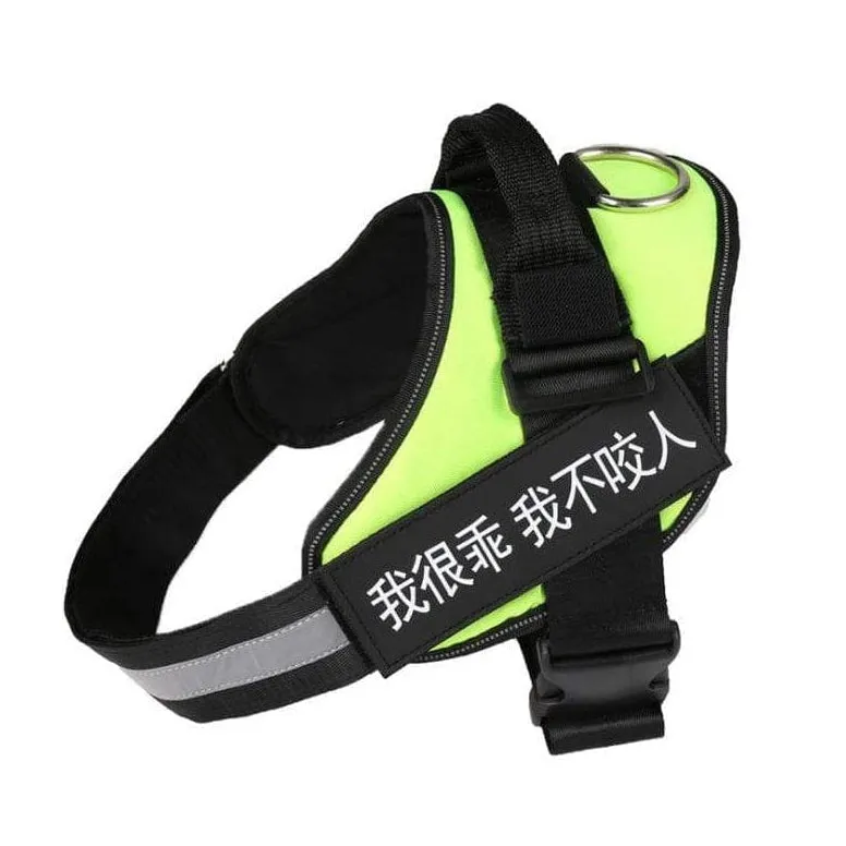 Personalized Custom Dog Harness | Dog Collar Name Dog Harness