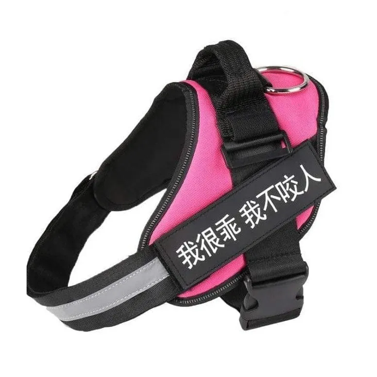 Personalized Custom Dog Harness | Dog Collar Name Dog Harness