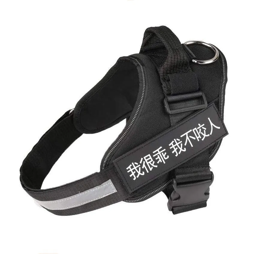 Personalized Custom Dog Harness | Dog Collar Name Dog Harness