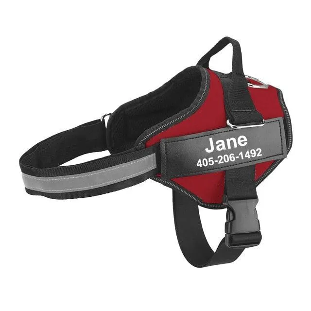 Personalized Dog Harness