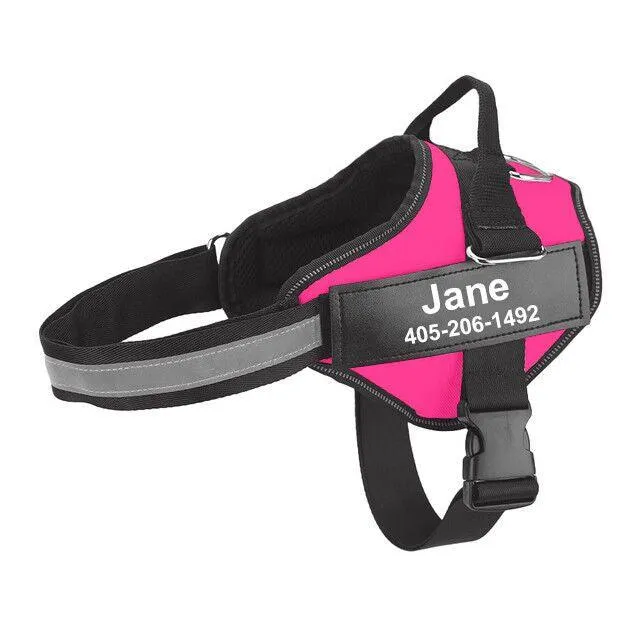 Personalized Dog Harness
