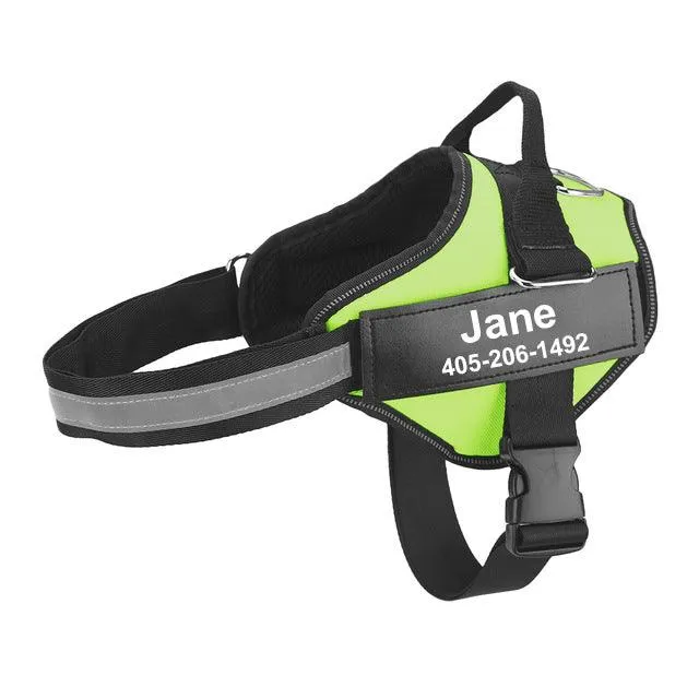Personalized Dog Harness
