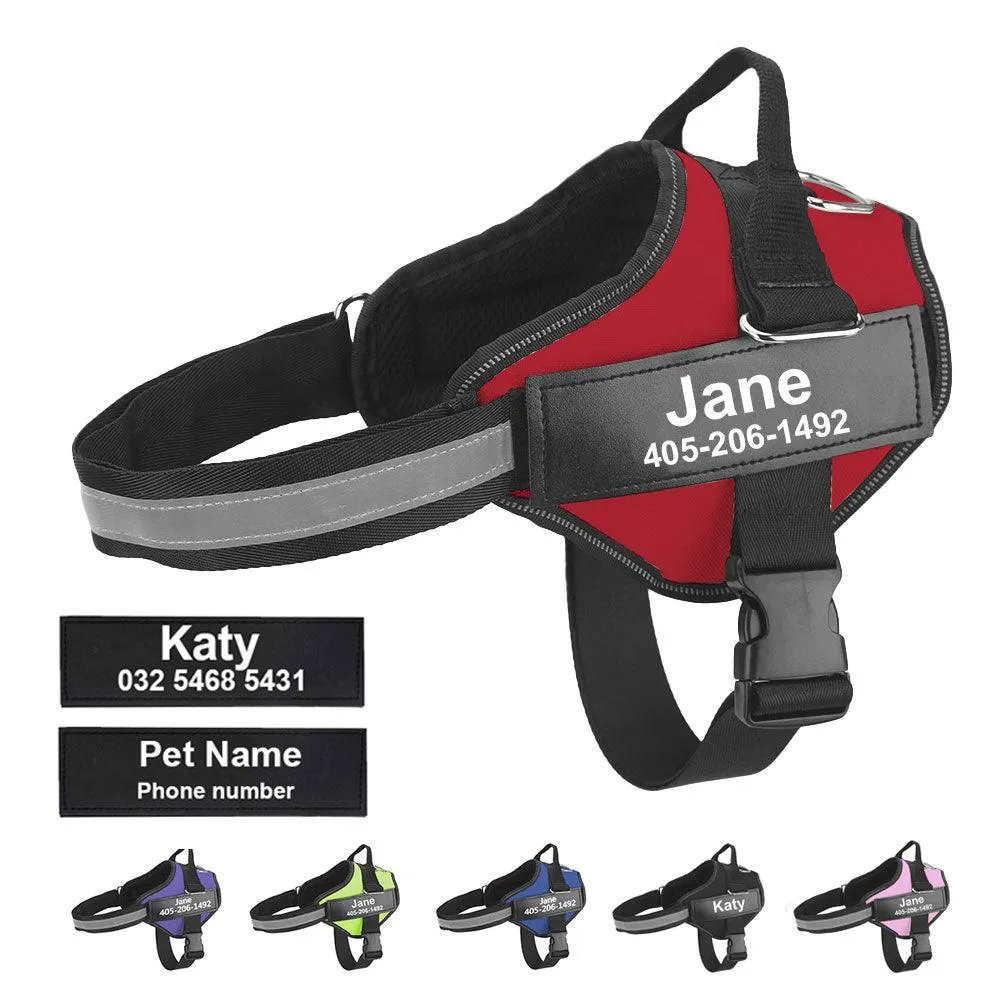 Personalized Dog Harness